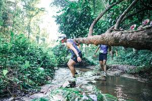 BIB: 
                            <button type="button" onclick="openModal(25431087)" class="btn btn-primary btn-sm float-right btn-popup" data-toggle="modal" data-target=".modal-high-quality">
                        <i class="fas fa-shopping-cart"></i> Add to Cart
                    </button>
                                            <button type="button" onclick="isThisMe(25431087, true)" class="btn btn-success btn-sm float-right btn-popup btn-isme hidden" data-toggle="tooltip" data-placement="bottom" title="นี่คือรูปของคุณใช่ไหม คลิกที่นี่เพื่อเอาเข้าอัลบั้ม">
                        <i class="fas fa-plus"></i> Add to album
                    </button>
                    <button type="button" onclick="isThisMe(25431087, false)" class="btn btn-warning btn-sm float-right btn-popup btn-isnotme hidden">
                        <i class="fas fa-ban"></i> Remove from album
                    </button>